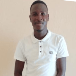 David Mankga - Junior QA Analyst